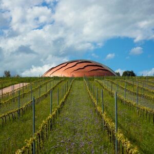 Carapace, Umbria Wine Tour sostenibile
