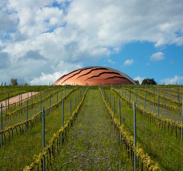 Carapace, Umbria Wine Tour sostenibile