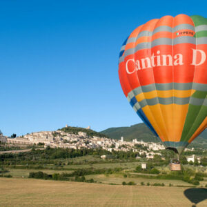 über die Weinberge fliegen